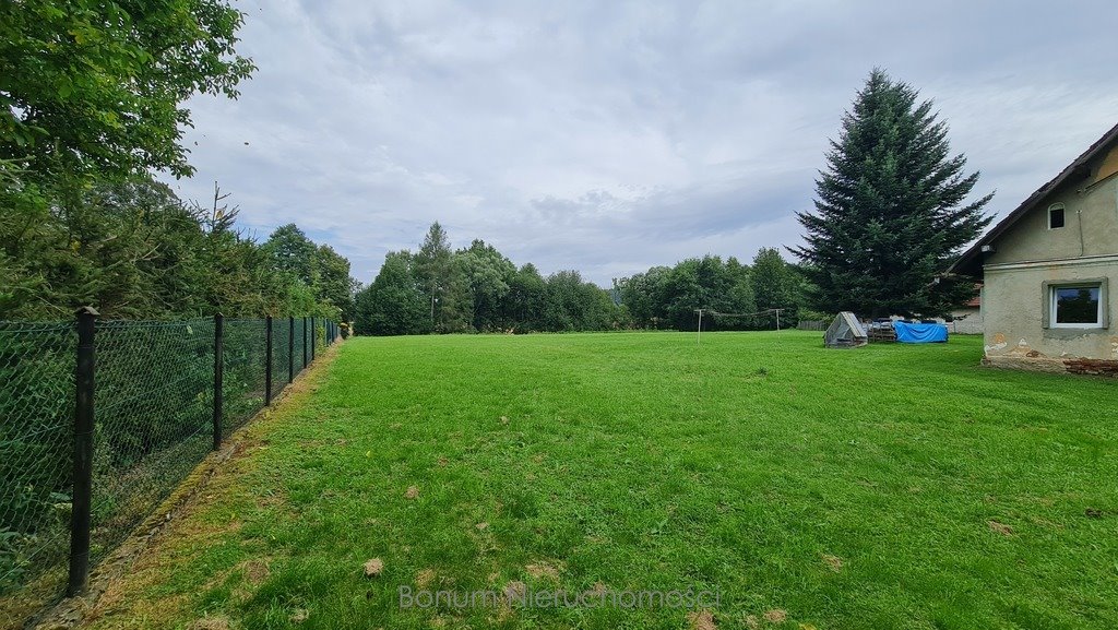 Działka budowlana na sprzedaż Trzebieszowice  2 900m2 Foto 1