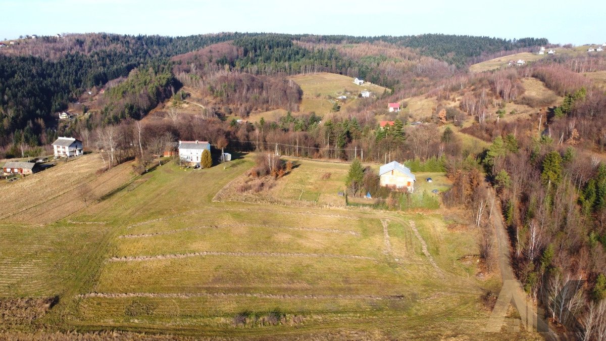 Działka budowlana na sprzedaż Paszyn  3 218m2 Foto 10