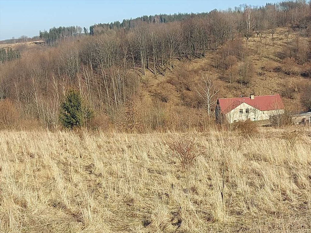 Działka gospodarstwo rolne na sprzedaż Walim, Niedźwiedzica  4 335m2 Foto 5