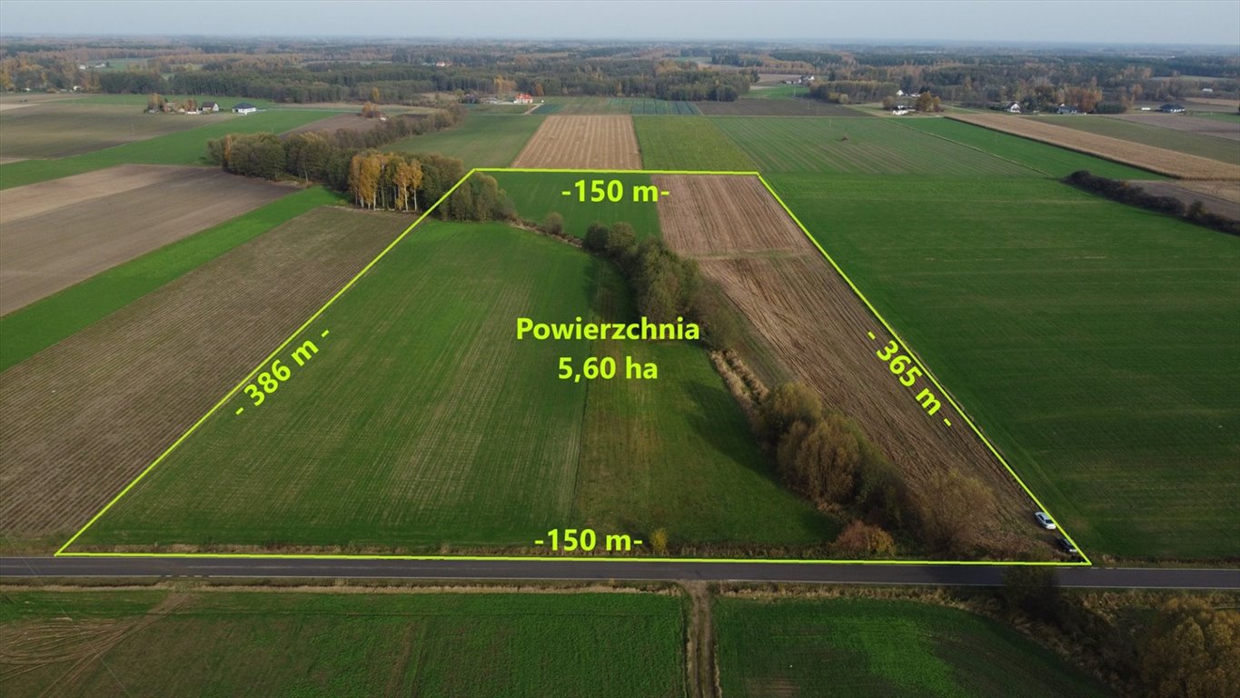 Działka 55 999 m² przy drodze asfaltowej, warunki zabudowy Nowe Wrońska  55 999m2 Foto 1