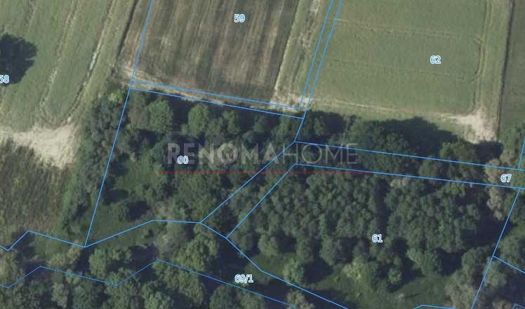 Działka 2,8 ha z lasami i użytkami rolnymi zapraszam Szymanów  28 000m2 Foto 1
