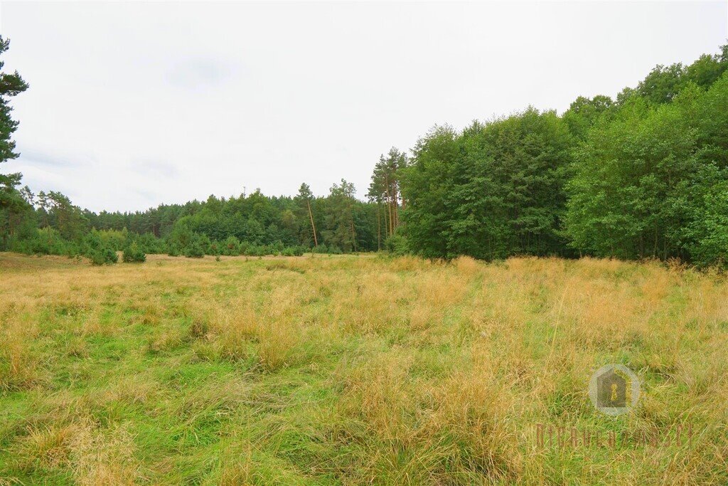 Działka budowlana na sprzedaż Rudna  1 625m2 Foto 1
