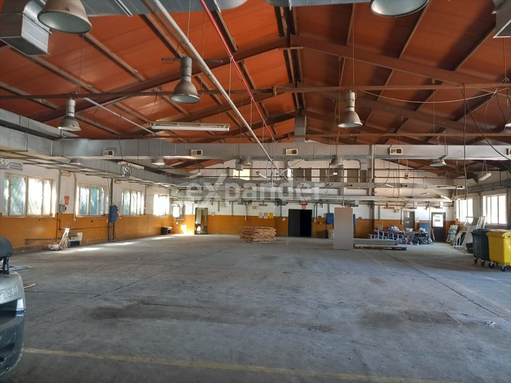 Lokal użytkowy na sprzedaż Nadarzyn  6 000m2 Foto 5