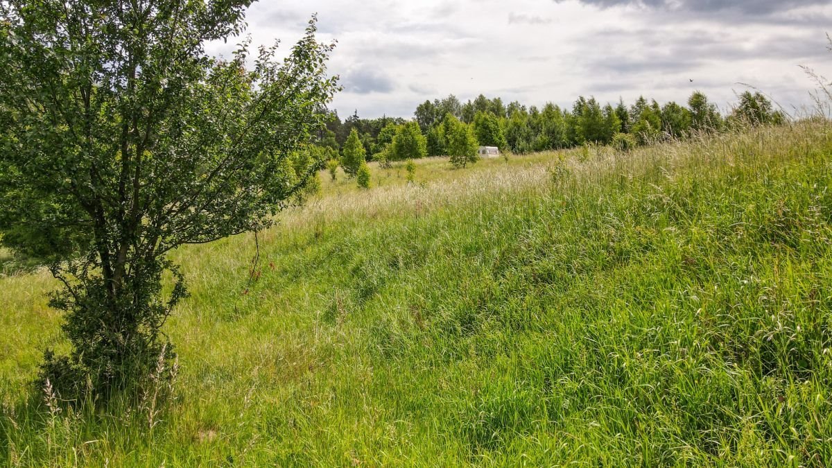 Działka budowlana na sprzedaż Gromadzin  3 143m2 Foto 7