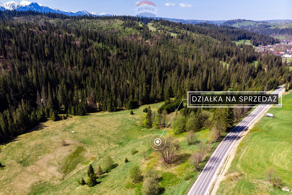 Działka rolna na sprzedaż Bukowina Tatrzańska  2 944m2 Foto 4