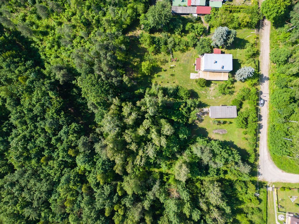 Działka budowlana na sprzedaż Ostrowiec Świętokrzyski, Las Rzeczki  2 356m2 Foto 3