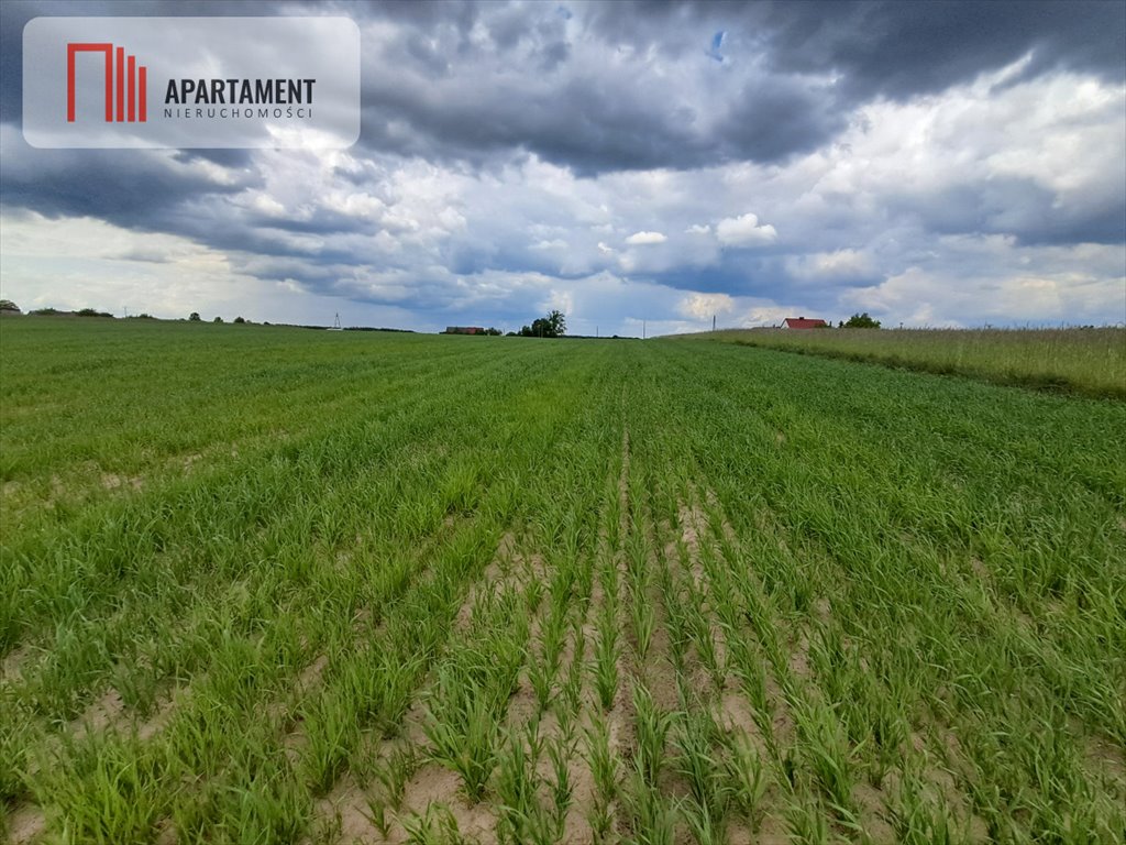 Działka gospodarstwo rolne na sprzedaż Bysław  3 000m2 Foto 12