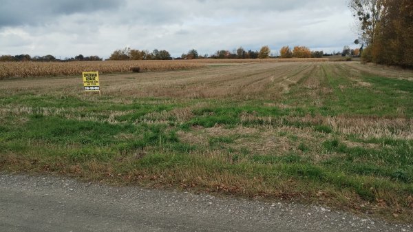 Działka 1,02 ha z mediami, blisko miasta, idealna pod dom Trębaczów  10 200m2 Foto 1