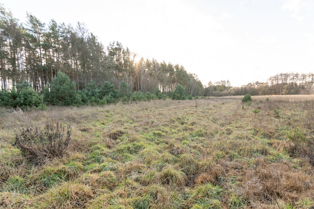 Działka budowlana na sprzedaż Kotuń  1 196m2 Foto 4