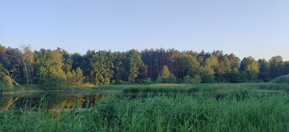 Lokal użytkowy na sprzedaż Tartak  52 600m2 Foto 19