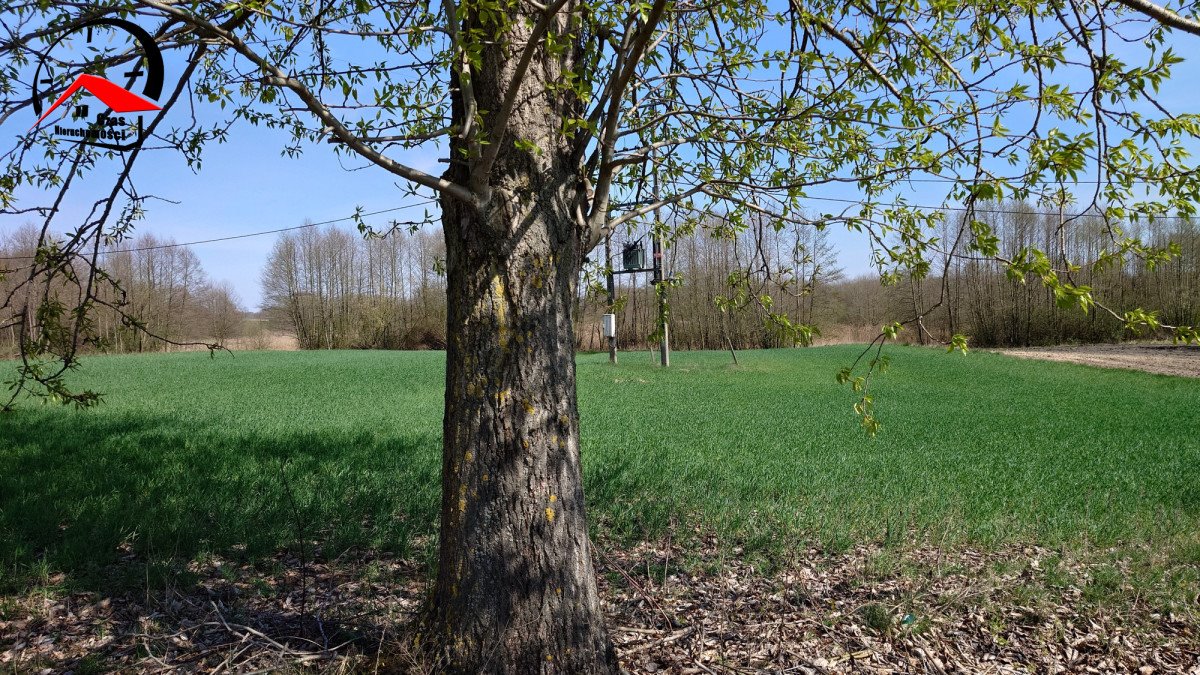 Działka gospodarstwo rolne na sprzedaż Kozjaty  8 000m2 Foto 1