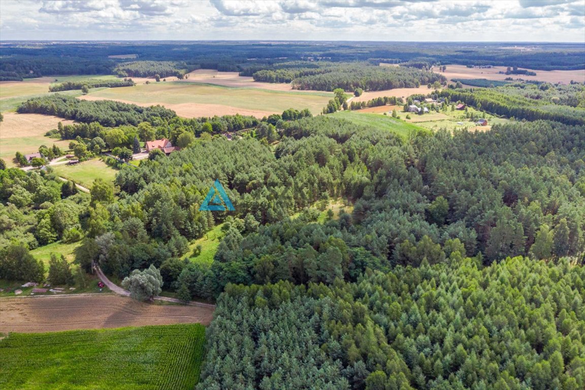 Działka rolna na sprzedaż Lipy  45 000m2 Foto 3