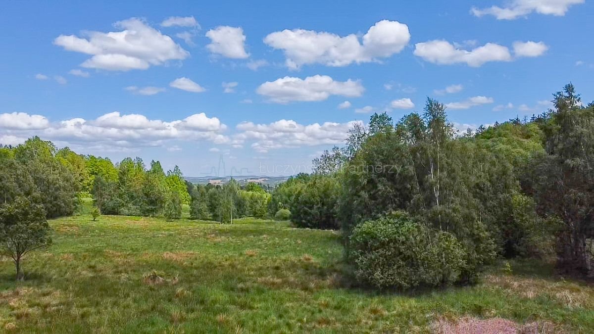 Działka rolna na sprzedaż Kromnów  49 500m2 Foto 5