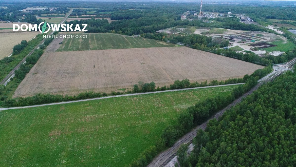 Działka rolna na sprzedaż Dobrów  188 872m2 Foto 7