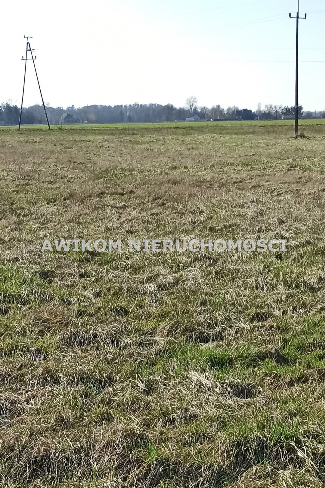 Działka budowlana na sprzedaż Jaktorów, Chyliczki  2 444m2 Foto 3