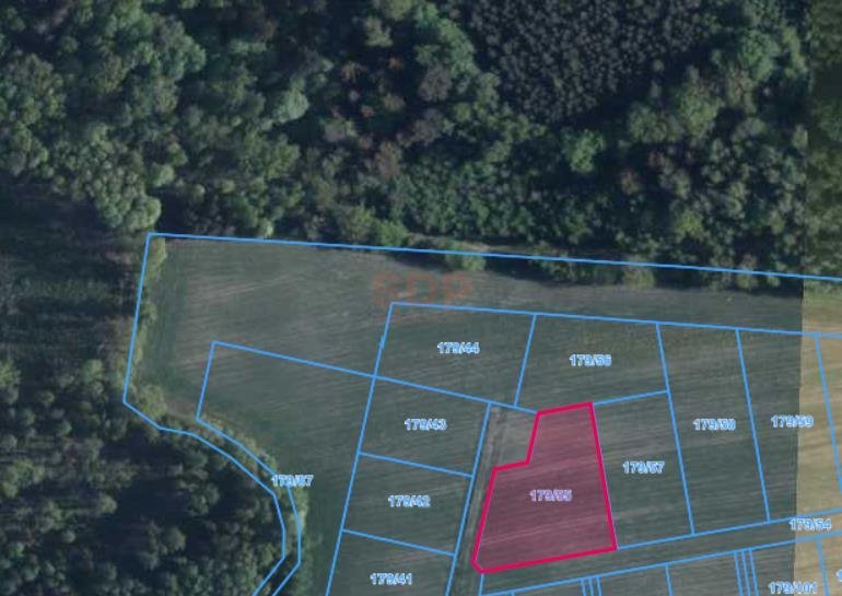 Działka 2311 m2 z widokiem na góry i lasem w Ławicy Ławica  2 311m2 Foto 1