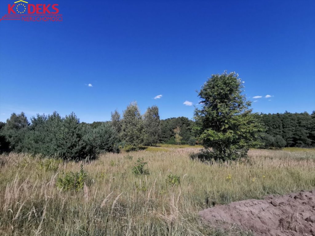 Polecam działkę 5000 m² w Nowej Wsi - idealna pod inwestycję lub rekreację Nowa Wieś  5 000m2 Foto 1