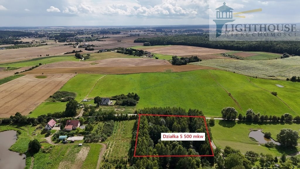 Sprzedam działkę 5500 m² z lasem i mediami w Trąbki Małe Trąbki Małe, Ogrodowa  5 500m2 Foto 1