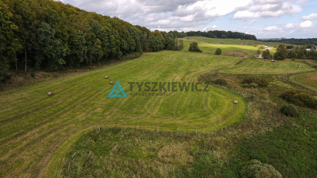 Działka budowlana na sprzedaż Trzepowo, Mestwina  1 695m2 Foto 3