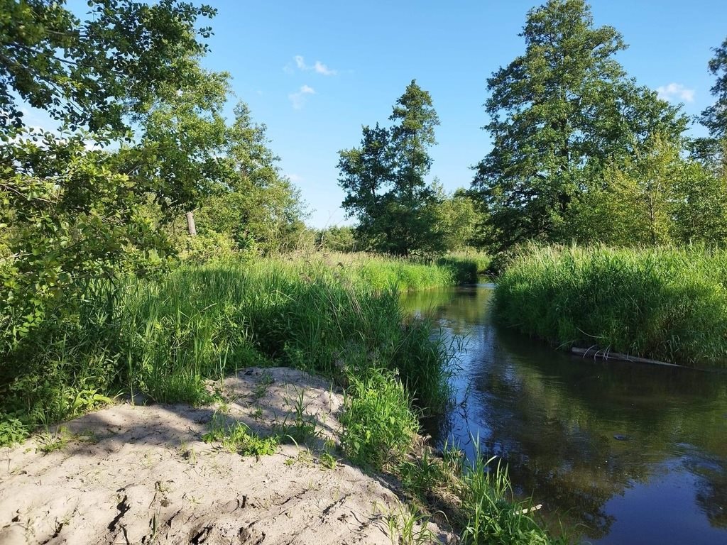 Działka inna na sprzedaż Psary  18 000m2 Foto 2