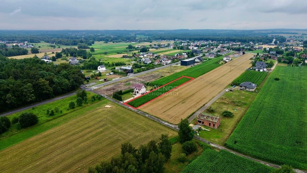 Działka budowlana na sprzedaż Paniówki, Skotnicka  2 500m2 Foto 11