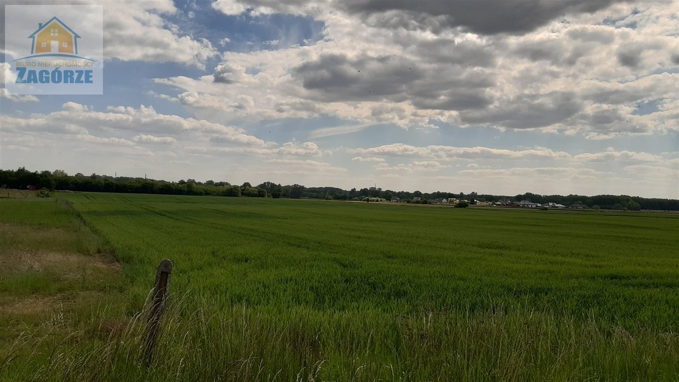 Działka rolna na sprzedaż Toruń, Wiejska  17 806m2 Foto 3