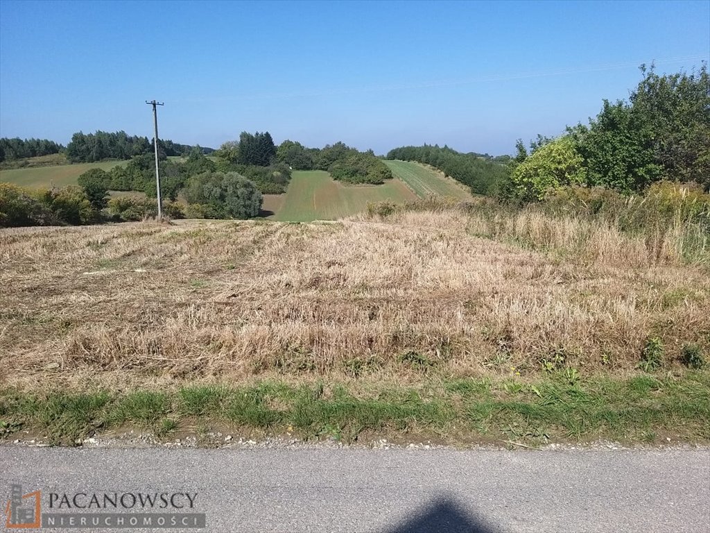 Działka budowlana na sprzedaż Damice  3 370m2 Foto 4