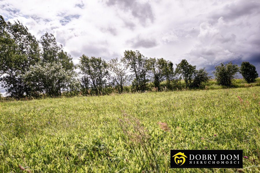 Działka rolna na sprzedaż Przełomka  2 200m2 Foto 17