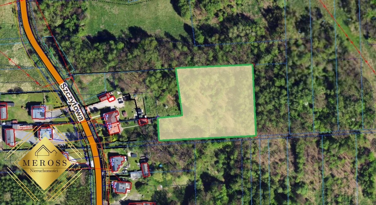 Działka leśna na sprzedaż Brzeziny-Kolonia  5 850m2 Foto 1