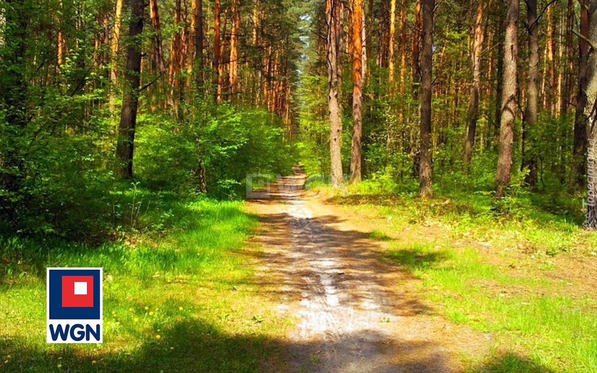 Działka leśna na sprzedaż Sadowiec  1 428m2 Foto 1