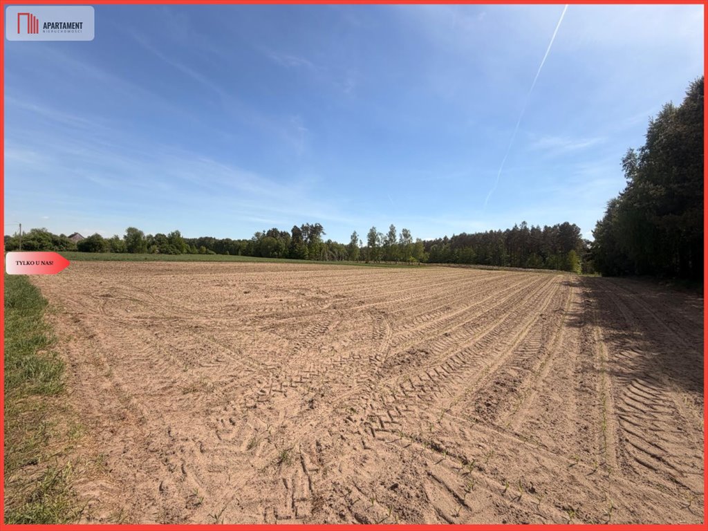 Działka 4500 m² w sercu Borów Tucholskich, las, cisza Rówki  4 500m2 Foto 1