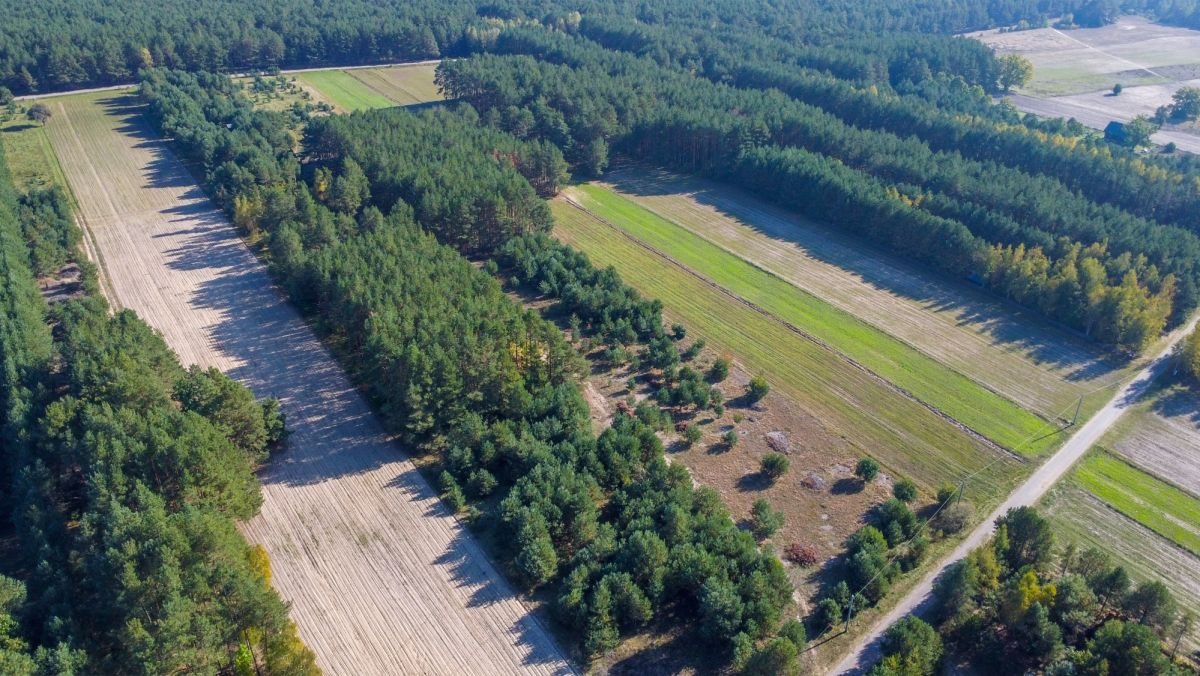 Działka rekreacyjna na sprzedaż Michałowo  9 500m2 Foto 3