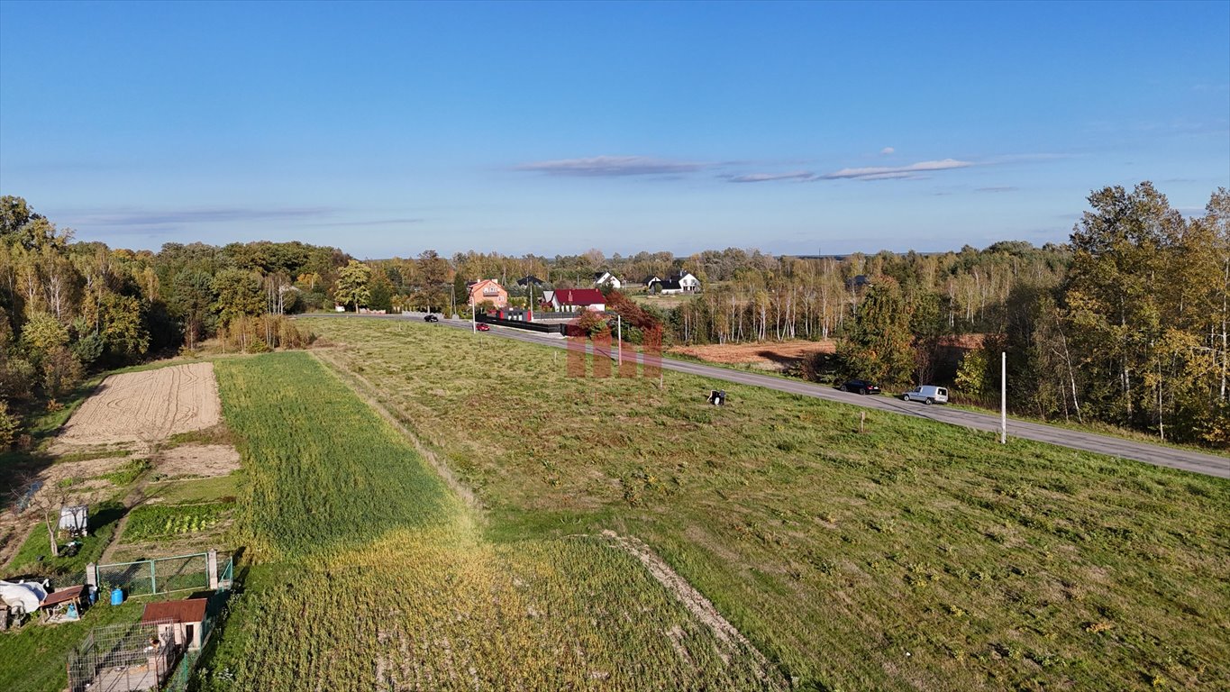 Działka budowlana na sprzedaż Korzeniów  845m2 Foto 10