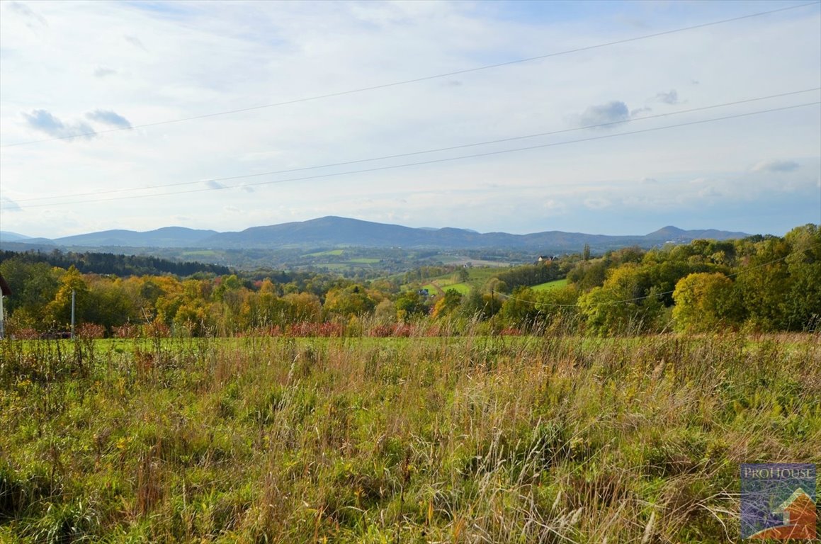 Działka budowlana na sprzedaż Kostrza  5 900m2 Foto 7