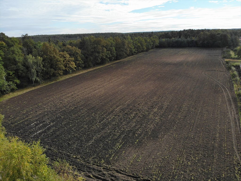 Działka przemysłowo-handlowa na sprzedaż Gromadka  9 200m2 Foto 3