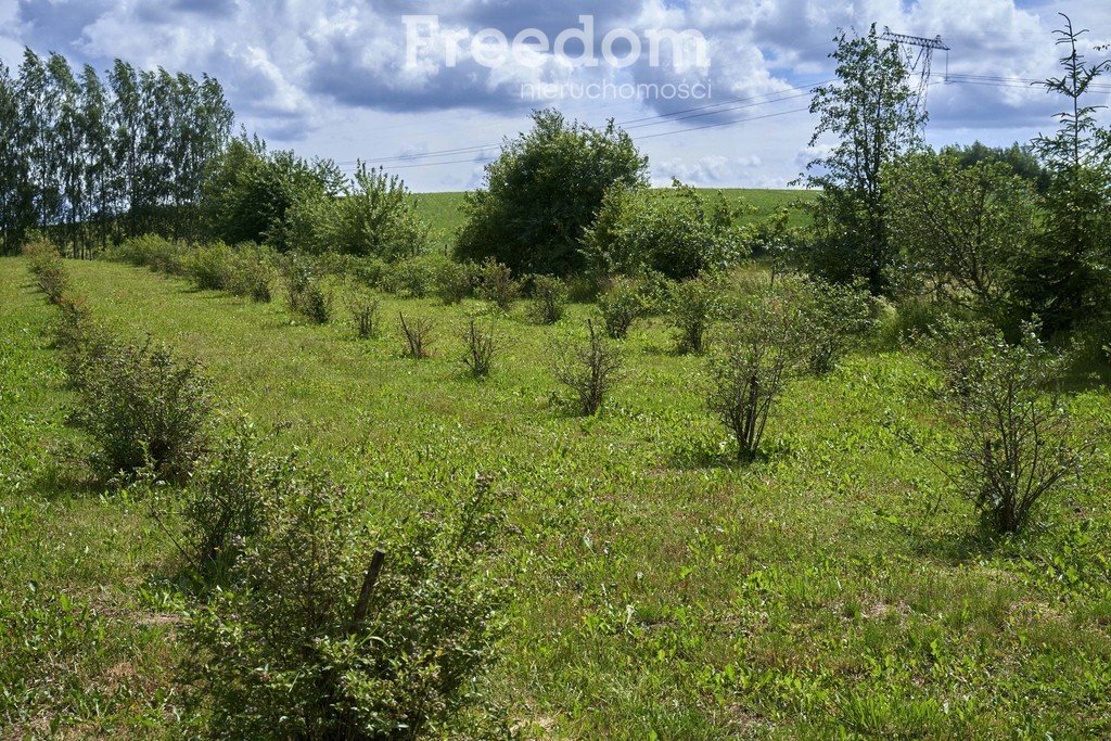 Działka inna na sprzedaż Gołogóra  179 000m2 Foto 19