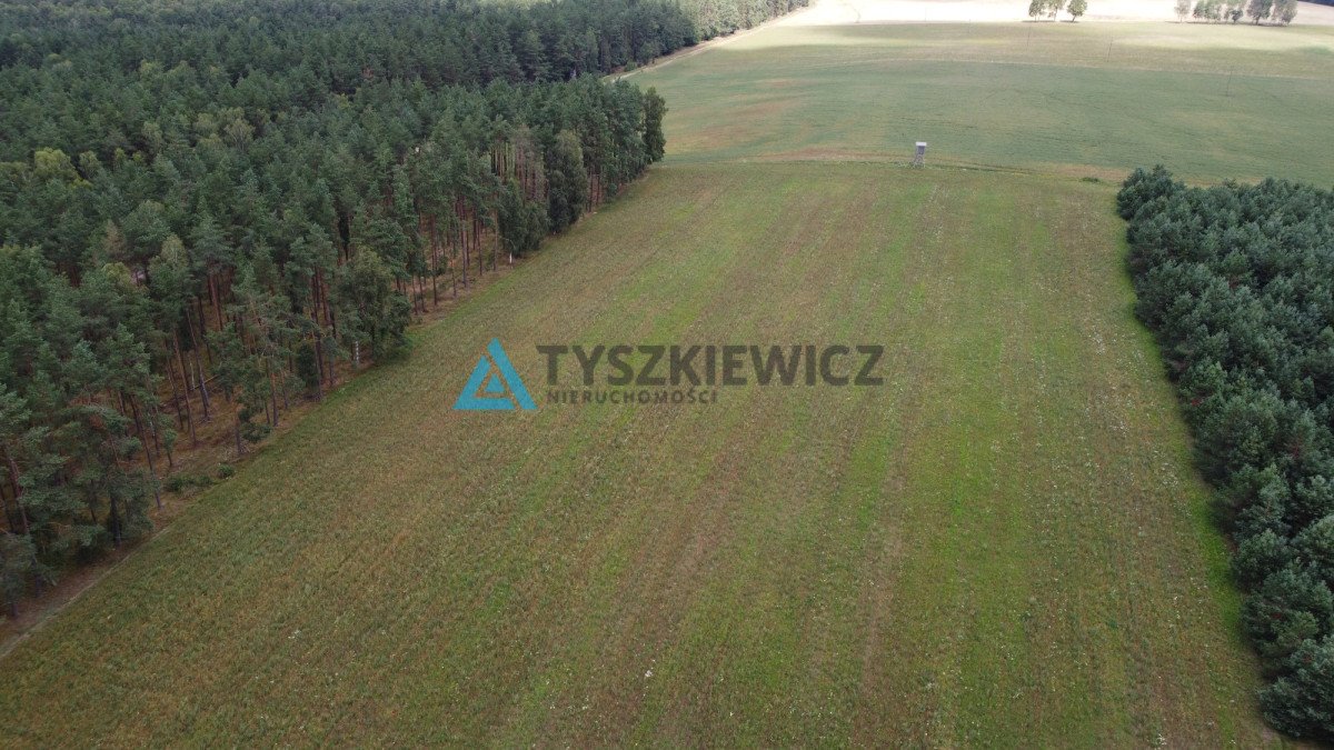 Działka rolna na sprzedaż Brzezinka  35 700m2 Foto 6