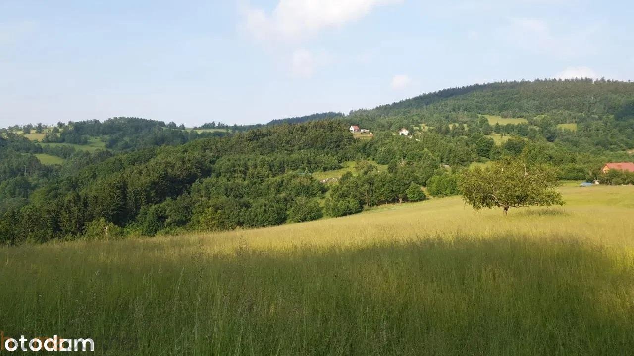 Działka rolna na sprzedaż Walim, Adama Mickiewicza  3 566m2 Foto 10