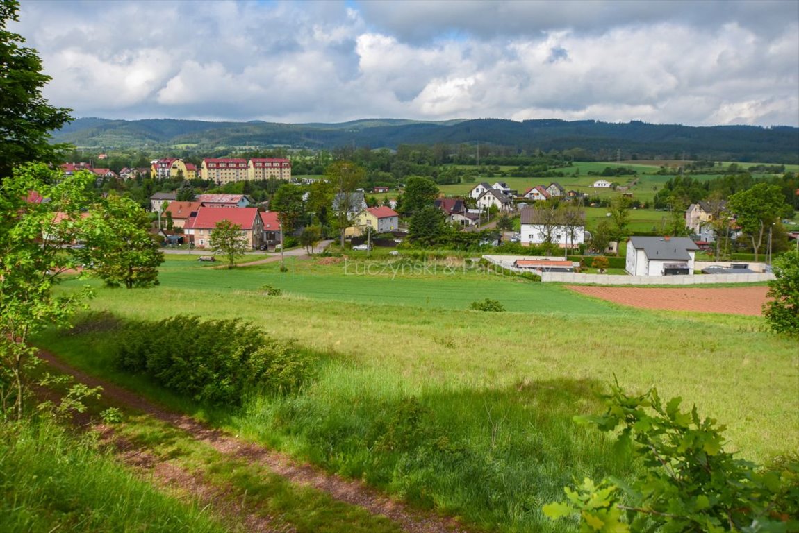 Działka budowlana na sprzedaż Olszyny  2 900m2 Foto 1