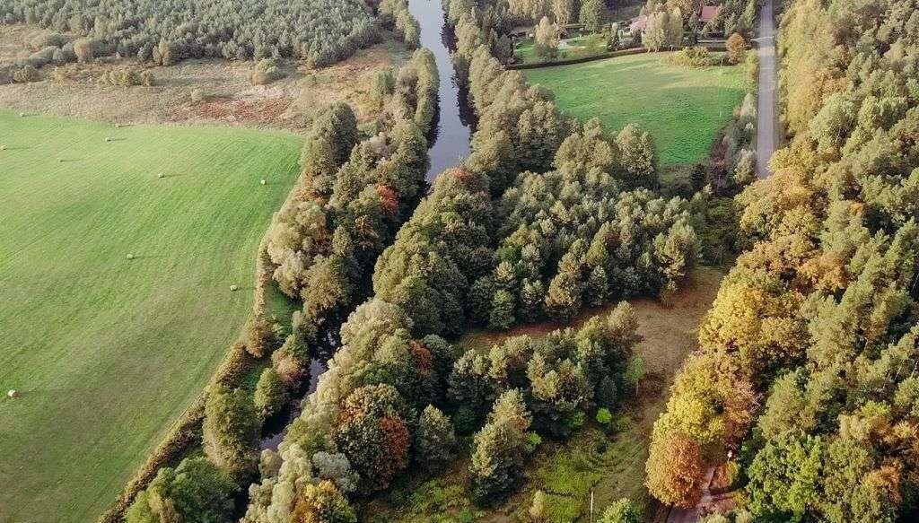 Działka inna na sprzedaż Miłomłyn  4 065m2 Foto 12