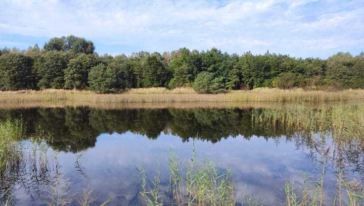 Działka inna na sprzedaż Szprotawa, Sieraków  68 701m2 Foto 14