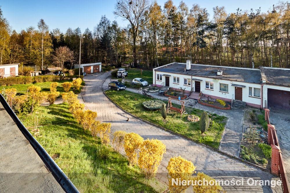 Lokal użytkowy na sprzedaż Strzelce, Strzelce, gm. Dobroszyce  1 953m2 Foto 6