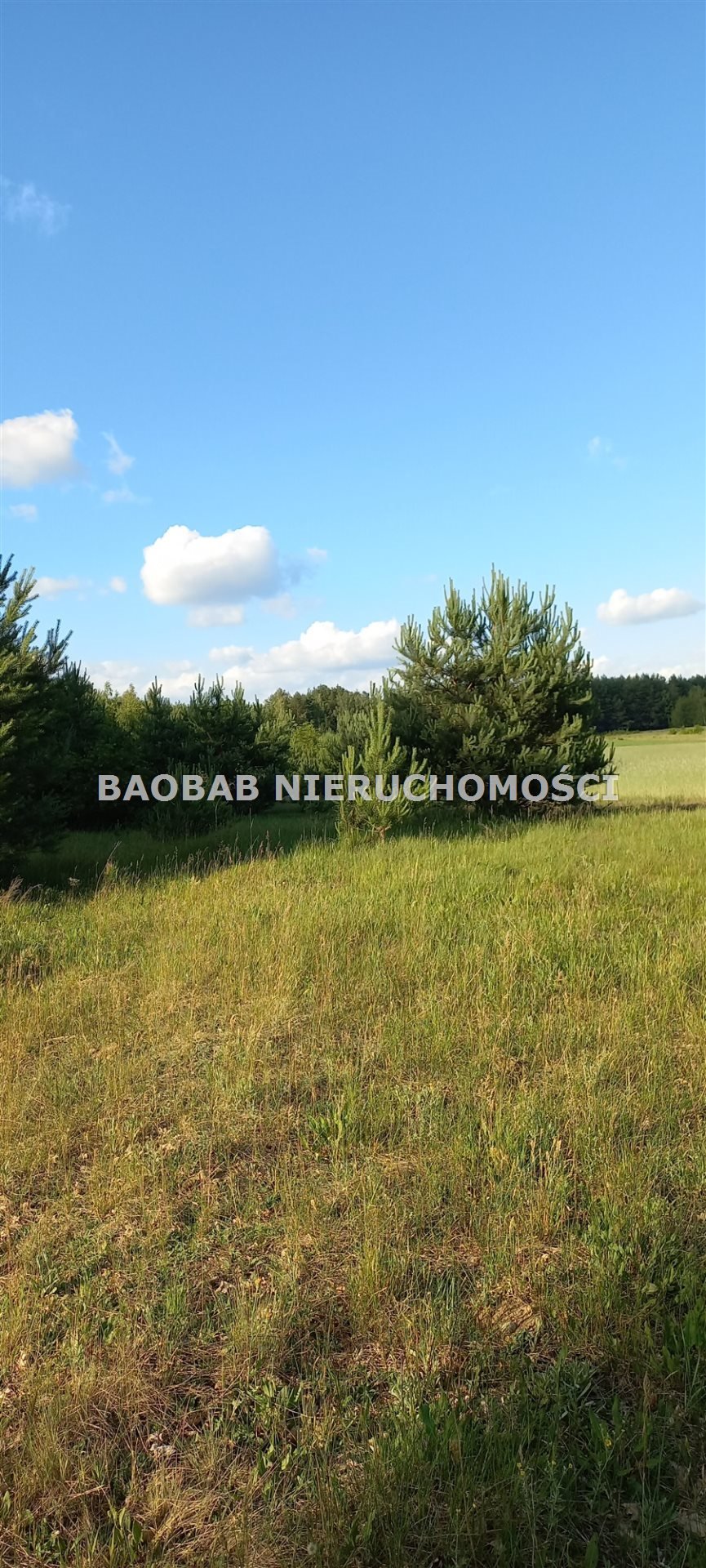 Działka 1,3 ha z warunkami zabudowy i infrastrukturą - polecam! Śródborze  13 000m2 Foto 1