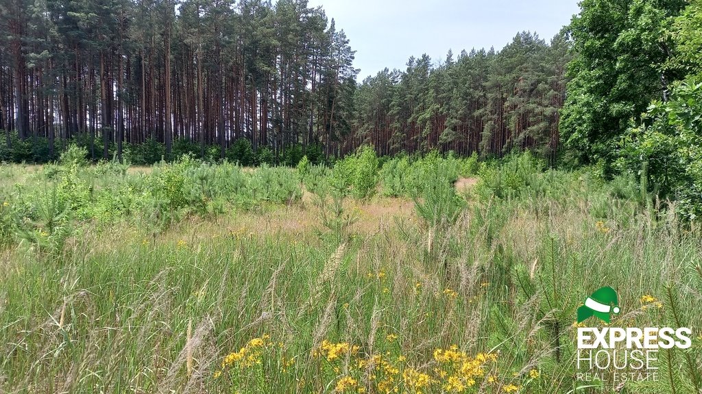 Działka budowlana na sprzedaż Niewodnica Korycka  824m2 Foto 4