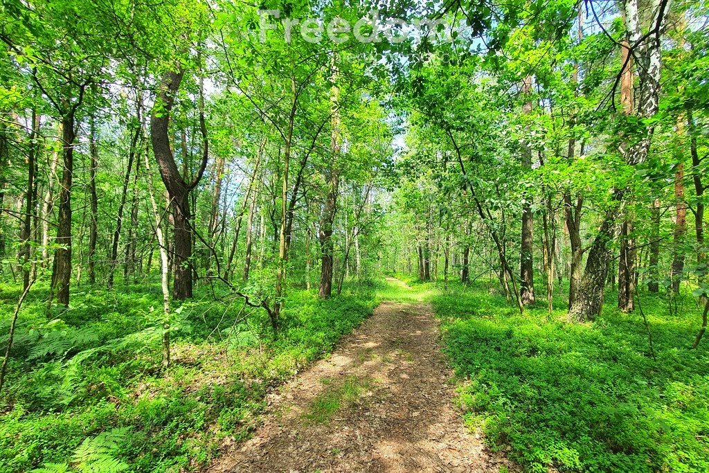 Działka inna na sprzedaż Turze Rogi  22 967m2 Foto 1