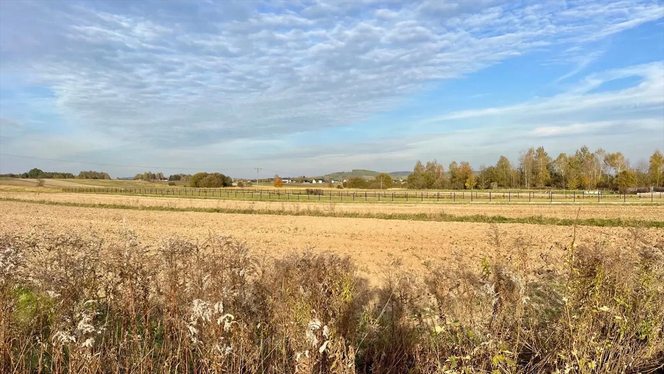 Działka budowlana na sprzedaż Suków, Dymińska 0  1 000m2 Foto 11