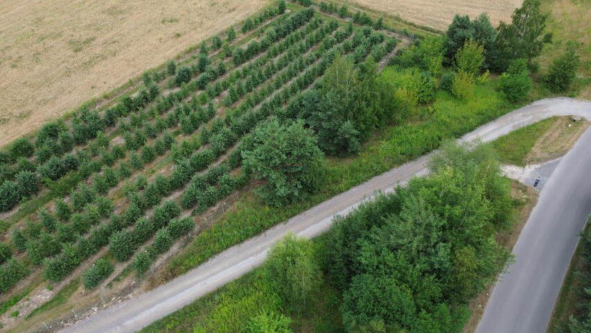 Działka budowlana na sprzedaż Prace Duże  1 300m2 Foto 2