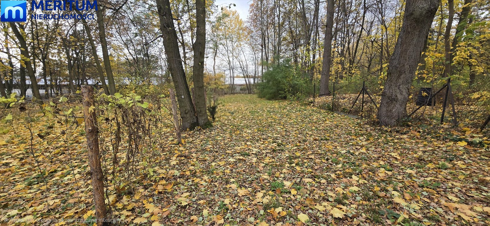 Malownicza działka leśna z prawem zabudowy w Podkowie Leśnej Podkowa Leśna  2 250m2 Foto 1