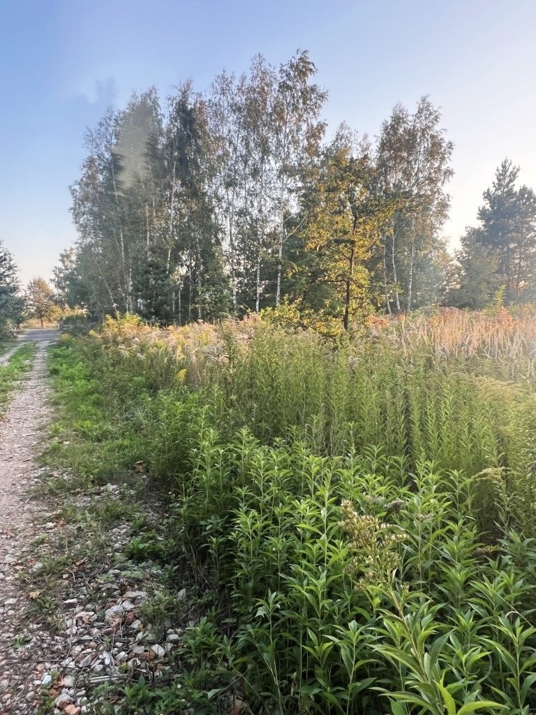 Działka inna na sprzedaż Józefów, Leonardów  1 178m2 Foto 1