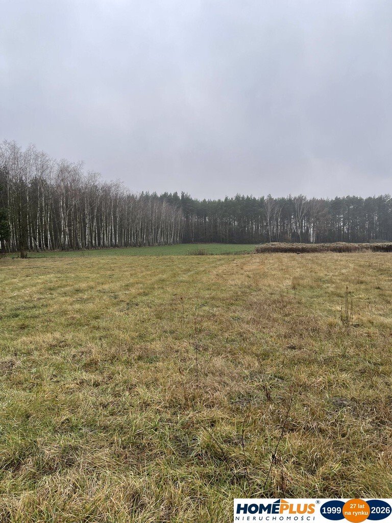 Zdjęcie 6
